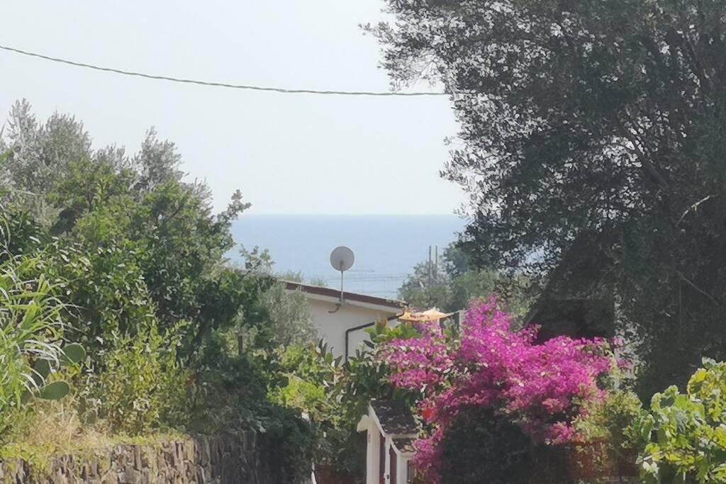 Villa Cilento Mare, Bellissima Con Ampio Giardino Капитело Екстериор снимка
