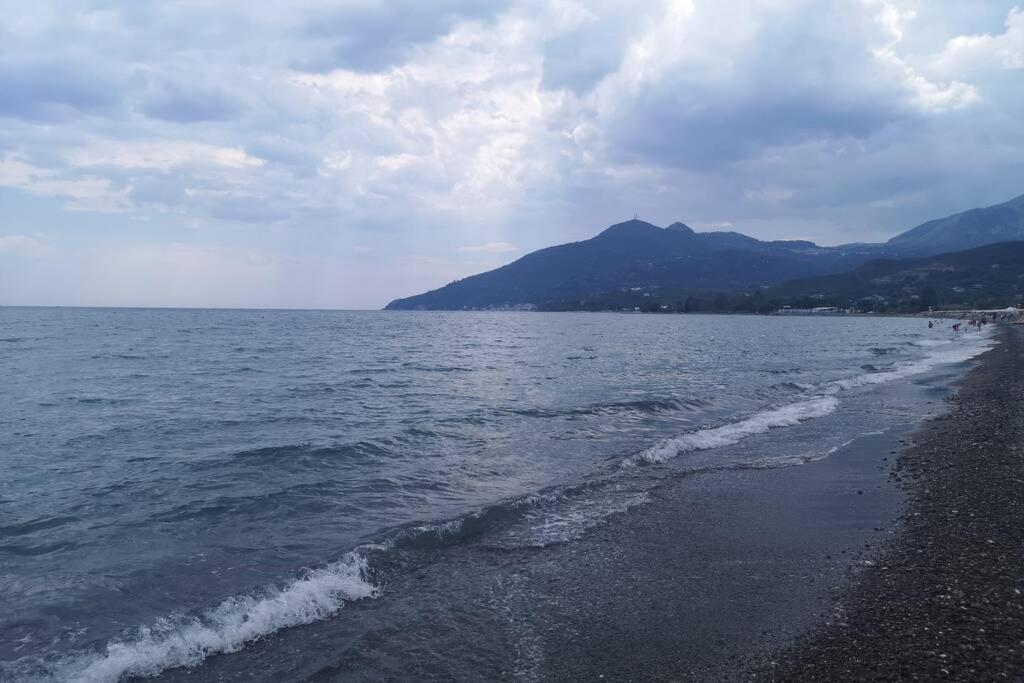 Villa Cilento Mare, Bellissima Con Ampio Giardino Капитело Екстериор снимка