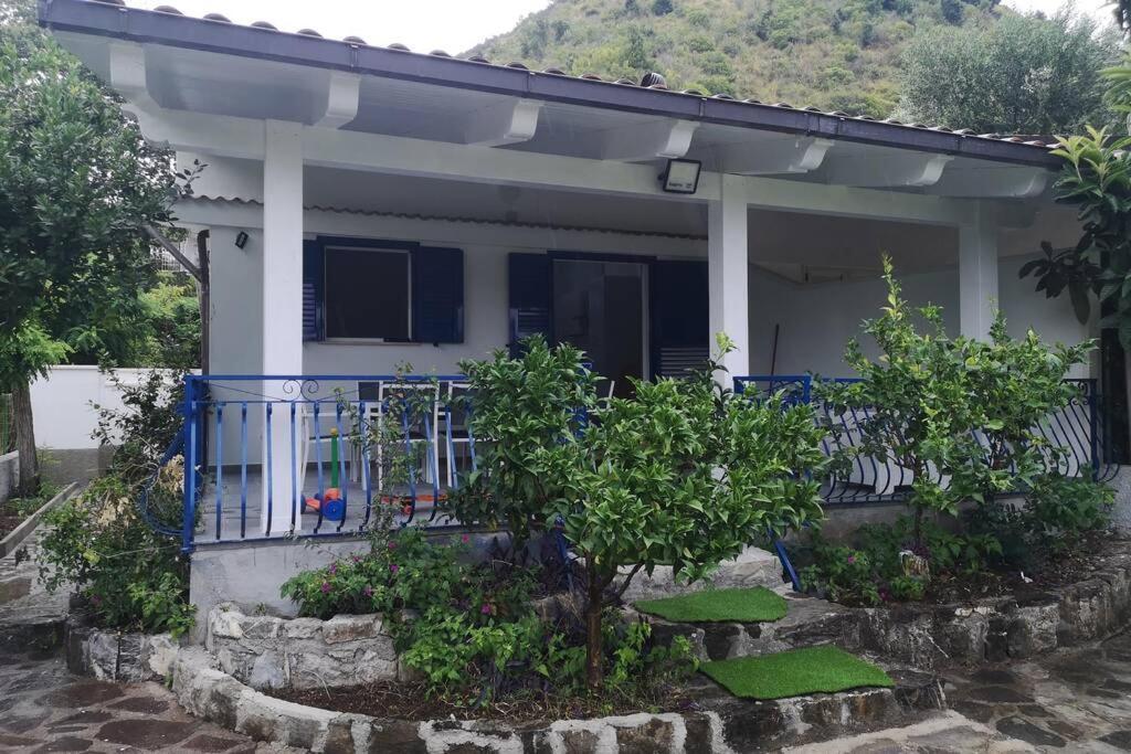 Villa Cilento Mare, Bellissima Con Ampio Giardino Капитело Екстериор снимка